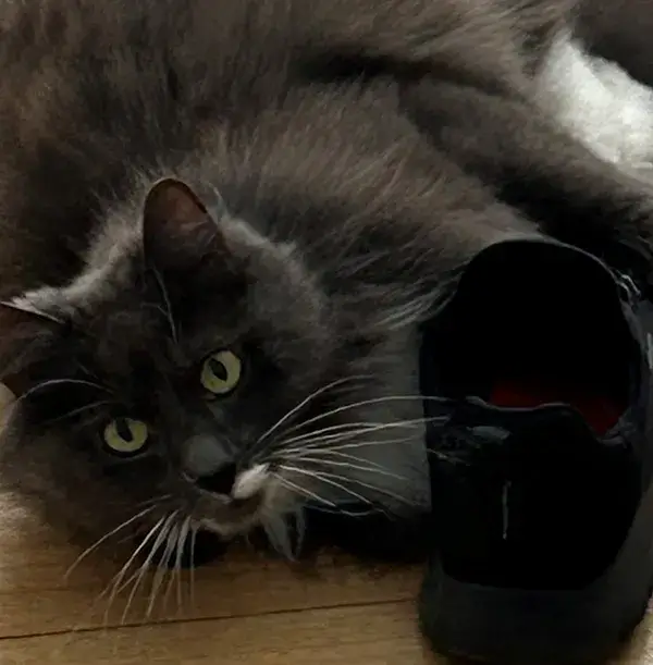 Emma-Jerry