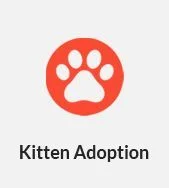 Kitten Adoption Box Hill