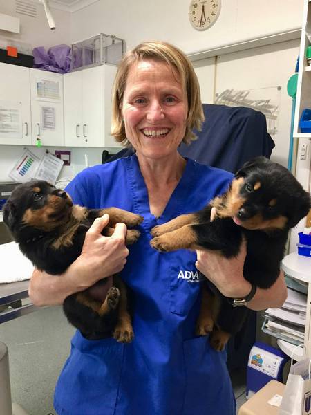 Dr Lee Coleman - Elgar Road Vet Staff